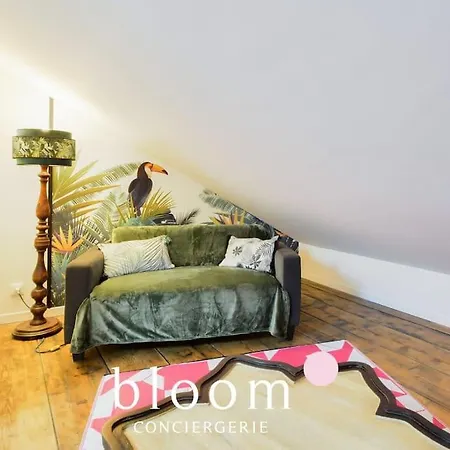 Vieille : Studio Calme Nancy