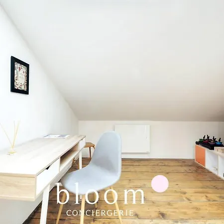 Vieille : Studio Calme